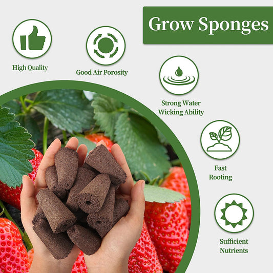 Grow Sponges, Seed Starter Pods Root Growth Sponges Eco-Friendly PH Balanced Square Sponges Replacement Compatible with QYO, LYKO, iDOO IG201Hydroponic Growing System, 50 Pack